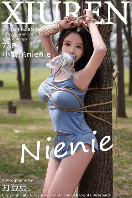 欧美日韩国产综合在线视频海报